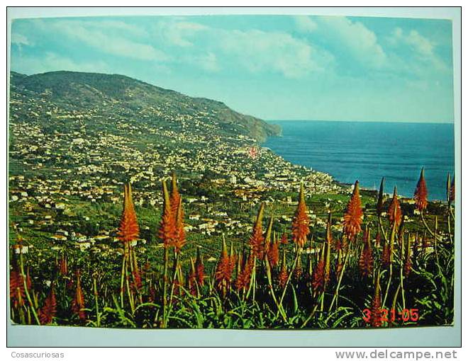 5747  MADEIRA PORTUGAL  FUNCHAL  PICO DOS BARCELOS YEARS / AÑOS  1960 - Madeira