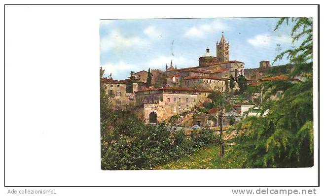 17826)cartolina Illustratoria  Massa - Panorama - Massa