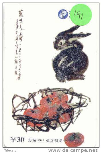 LAPIN Rabbit KONIJN Kaninchen Conejo (191) - Lapins