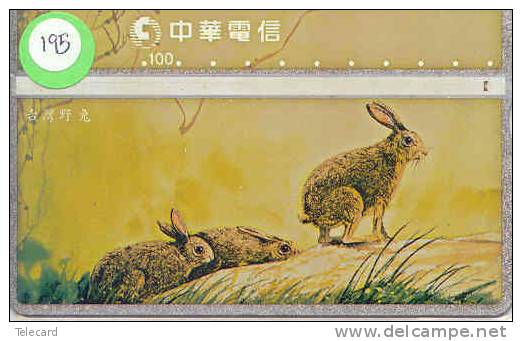 LAPIN Rabbit KONIJN Kaninchen Conejo (195) Taiwan - Conejos