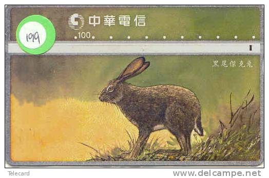 LAPIN Rabbit KONIJN Kaninchen Conejo (199) Taiwan - Conejos