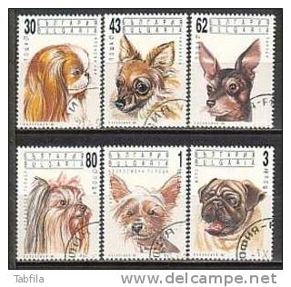 BULGARIA \ BULGARIE - 1991 - Chiens D'agrement - 6v Obl. - Usati