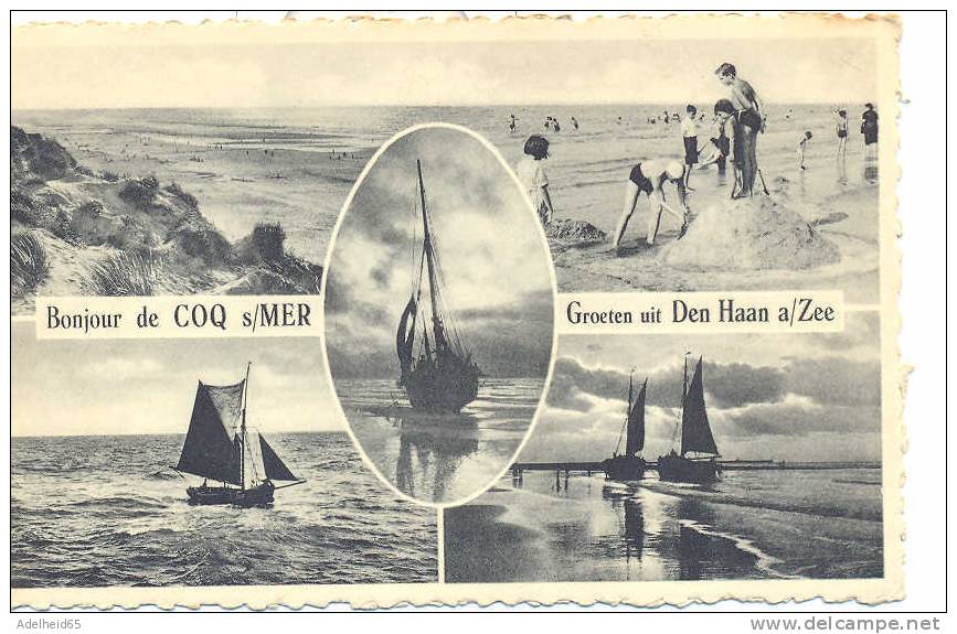 Groeten Uit Den Haan, Bonjour De Coq Sur Mer - De Haan