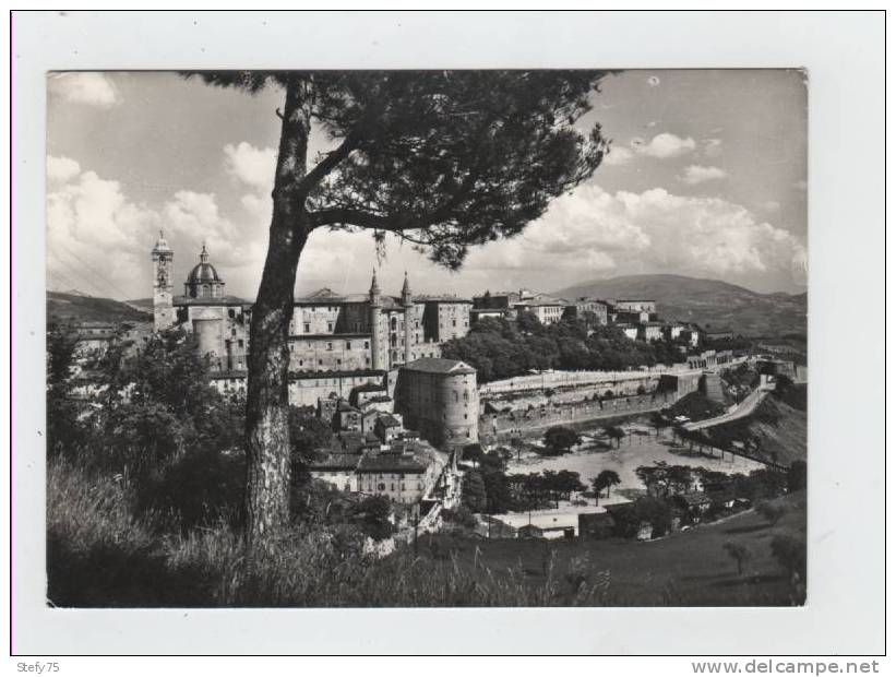 Urbino-pesaro-panorama - Urbino