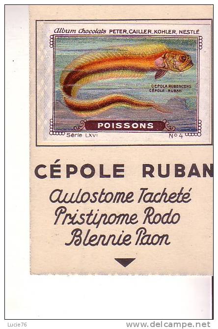 IMAGE - NESTLE - GALA PETER - CAILLER - KOHLER - Série LXVI  - N° 4 - POISSONS -  CEPOLE RUBAN - Nestlé