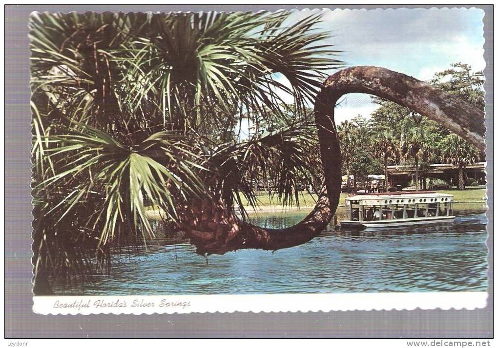 Beautiful Florida's Silver Springs -  Florida - Silver Springs