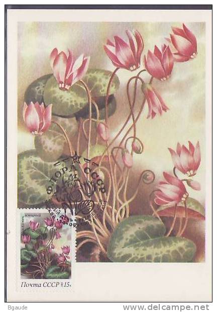 RUSSIE CARTE MAXIMUM NUM.YVERT 5004 FLEURS CYCLAMEN - Cartoline Maximum