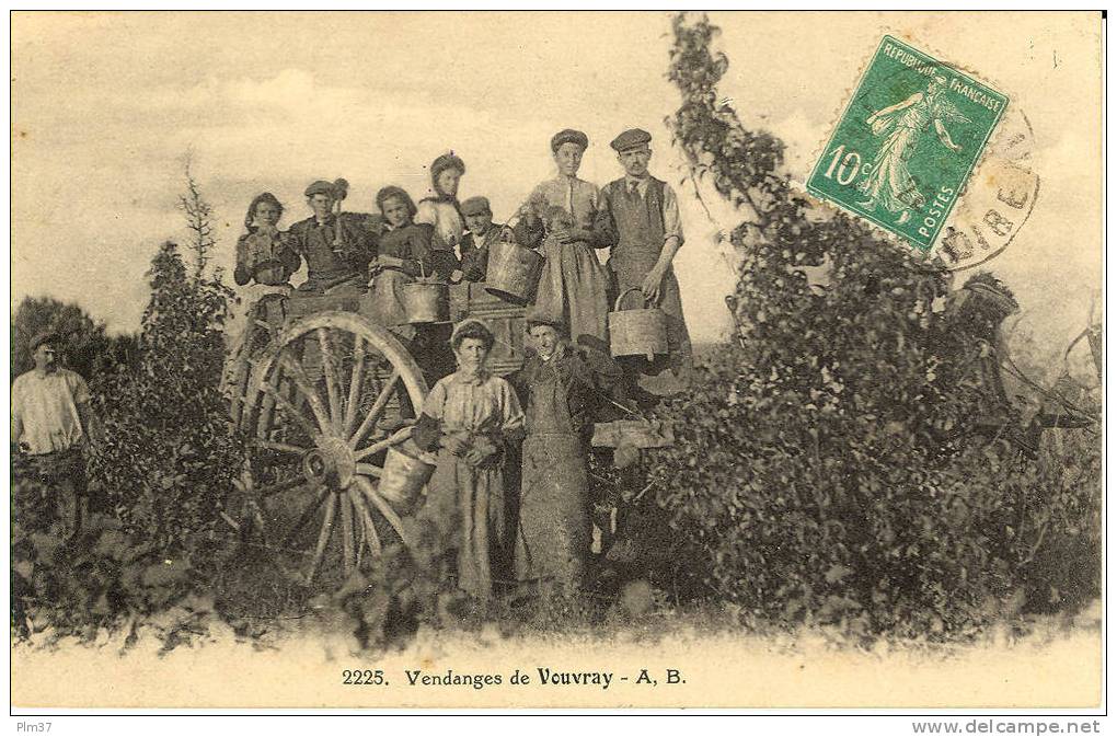 VOUVRAY - Les  Vendanges -  Voy. 1922 - Vouvray