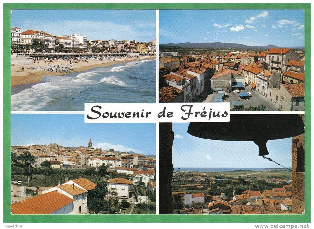 SOUVENIR DE FREJUS - Carte Vierge - La Seyne-sur-Mer