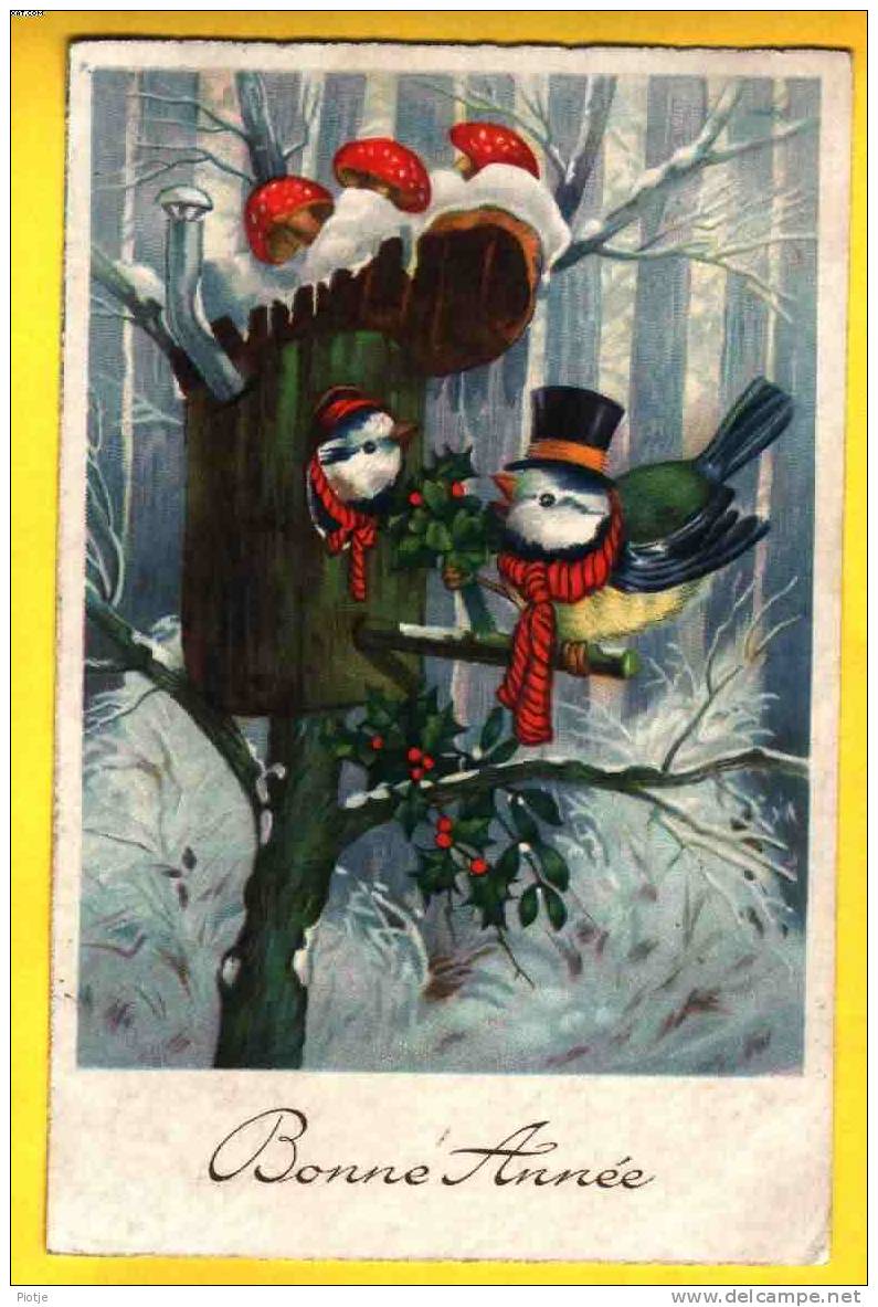 * Fantaisie - Fantasie - Fantasy * Kerstmis, Christmas, Noel, Vogel, Bird, Nestkastje, Nid, Chapeau, Oiseau, Old - Altri & Non Classificati