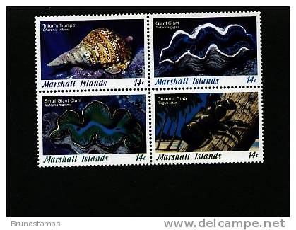 MARSHALL ISLANDS - 1986  W.W.F.  MARINE LIFE  BLOCK  MINT NH - Islas Marshall