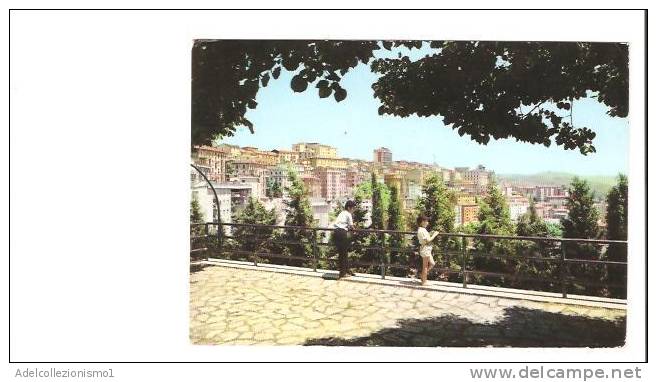 17920)cartolina Illustratoria  Potenza -  Panorama Da Monte Reale - Potenza
