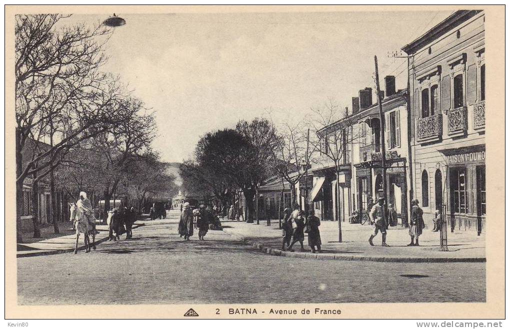 ALGERIE BATNA Avenue De France Cpa Animée - Batna