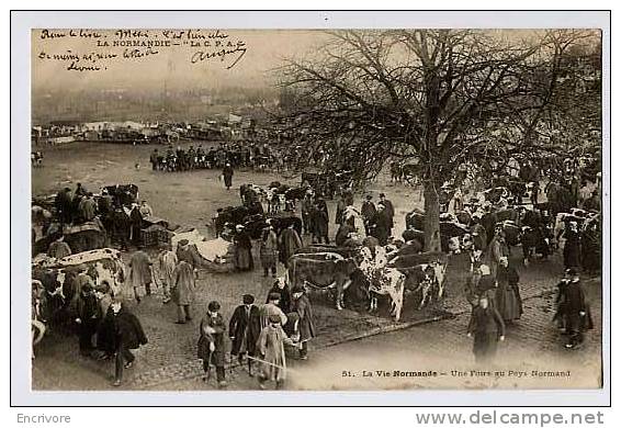 Cpa La Vie Normande UNE FOIRE AU PAYS NORMAND Marché Au Bétail - N°51 CPA Tres Animée Bovins - Allevamenti