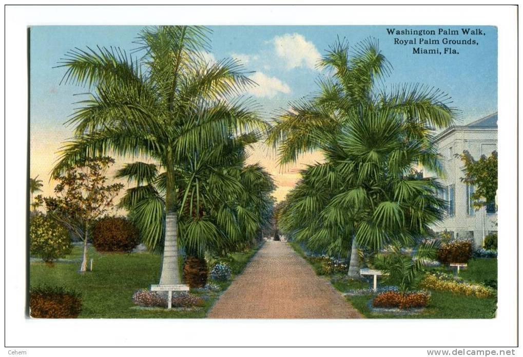 ETATS UNIS USA FLORIDE FLORIDA MIAMI WASHINGTON PALM WALK ROYAL PALM GROUNDS - Miami