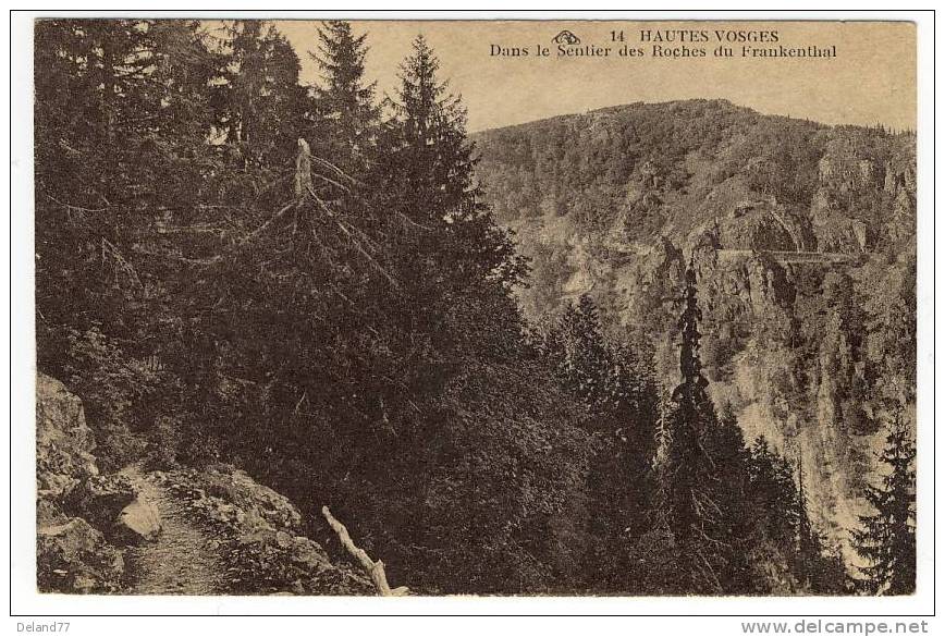 HAUTES VOSGES  Dans Le Sentier Des Roches Du Frankenthal - Lorraine