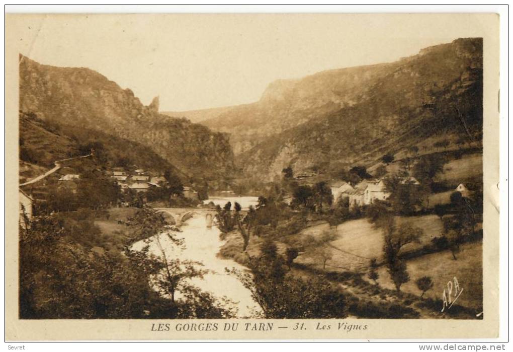 LES VIGNES   -  Gorges Du Tarn. - Chanac