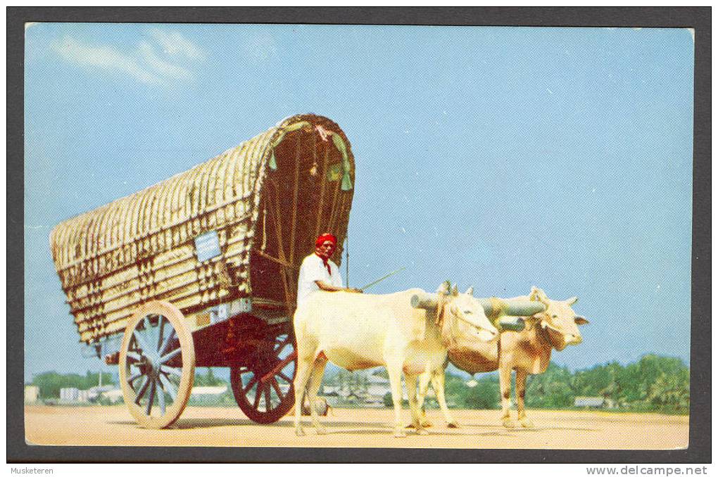 Ceylon PPC Bull Bullock Cart Colombo Ceylon  CP-11 - Taureaux