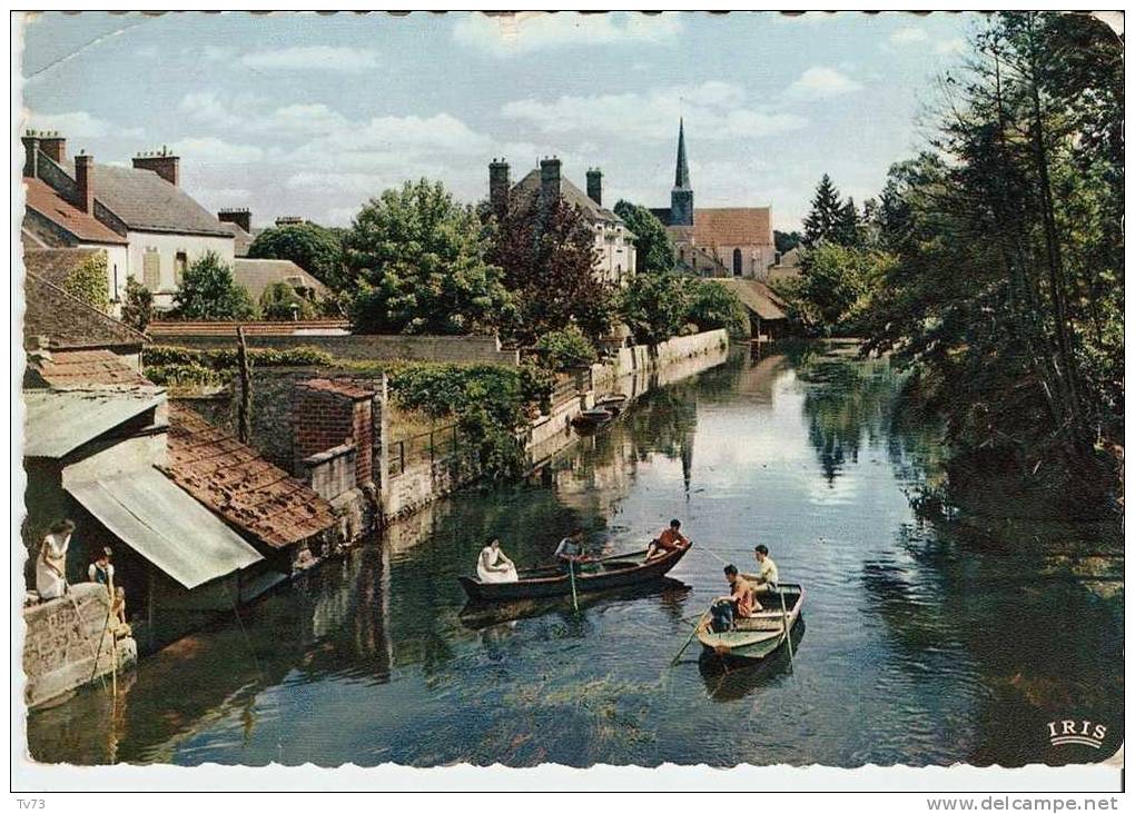 CpF0549 - SOUPPES Sur LOING - Vue Sur Le Loing - (77 - Seine Et Marne) - Souppes Sur Loing