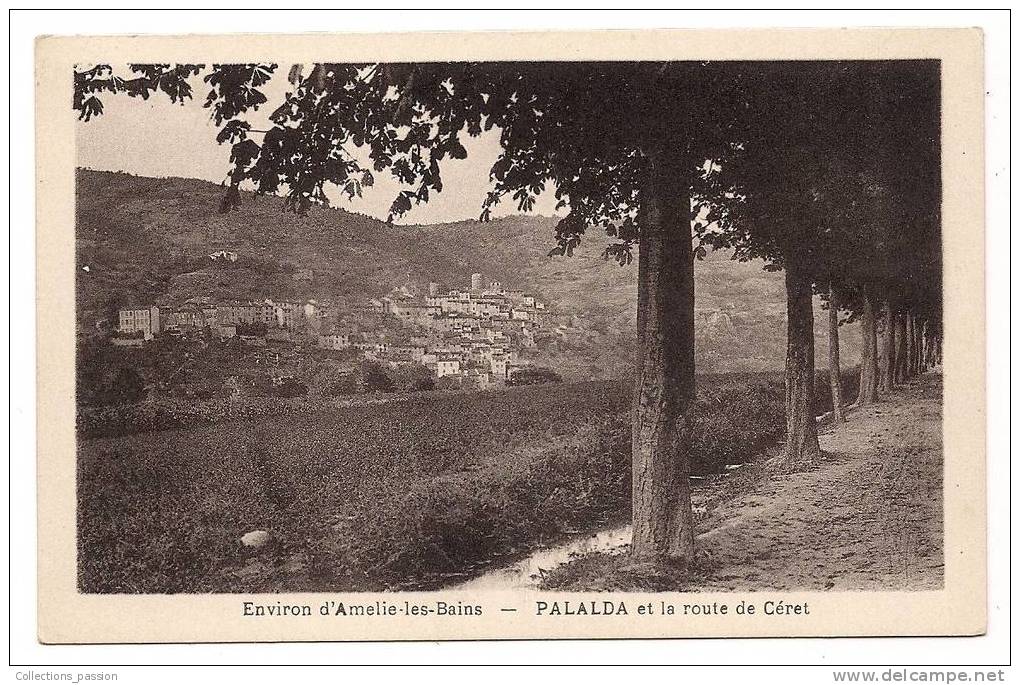 Cpa , 66 , AMELIE-LES-BAINS ,Palalda Et La Route De Ceret - Sonstige & Ohne Zuordnung