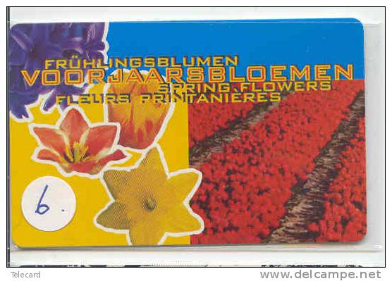 NEDERLAND Telebriefkaart Nummer 6 BLOEMEN BLUME FLOWERS FLEURS TULIPS - Privadas