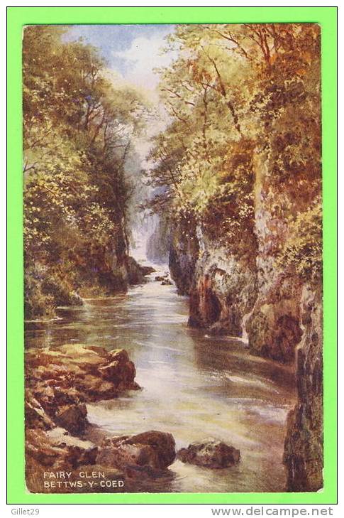 BETTWS-Y-COED, WALES - FAIRY GLEN - ART COLOUR - WATER COLOUR BRIAN GERALD - PAYS DE GALLES - - Caernarvonshire