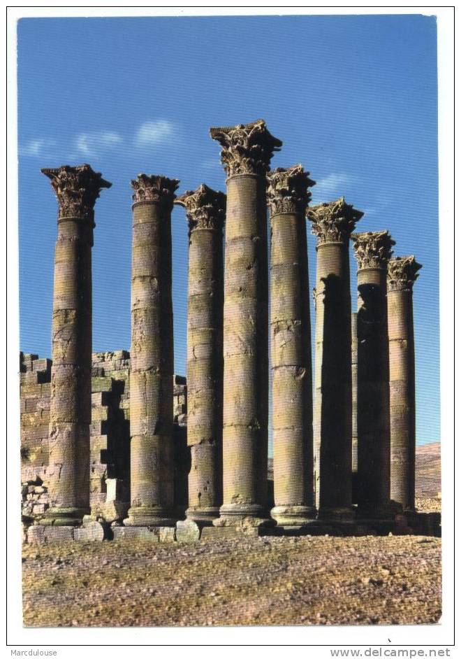 Jerash. The Columns. Les Colonnes. De Zuilen. - Giordania