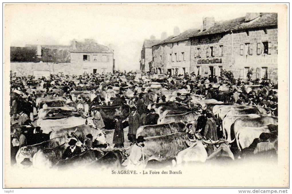 St-AGREVE - La Foire Des Bœufs - Saint Agrève