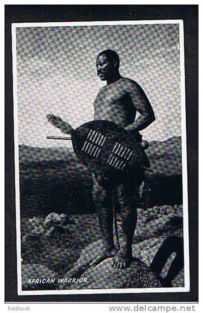 Early Ethnic Photo Postcard African Zulu Warrior & Shield South Africa - Ref 309 - Unclassified