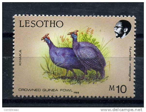 LESOTHO     1988   Birds   10m  Helmet  Guineafowl - Lesotho (1966-...)