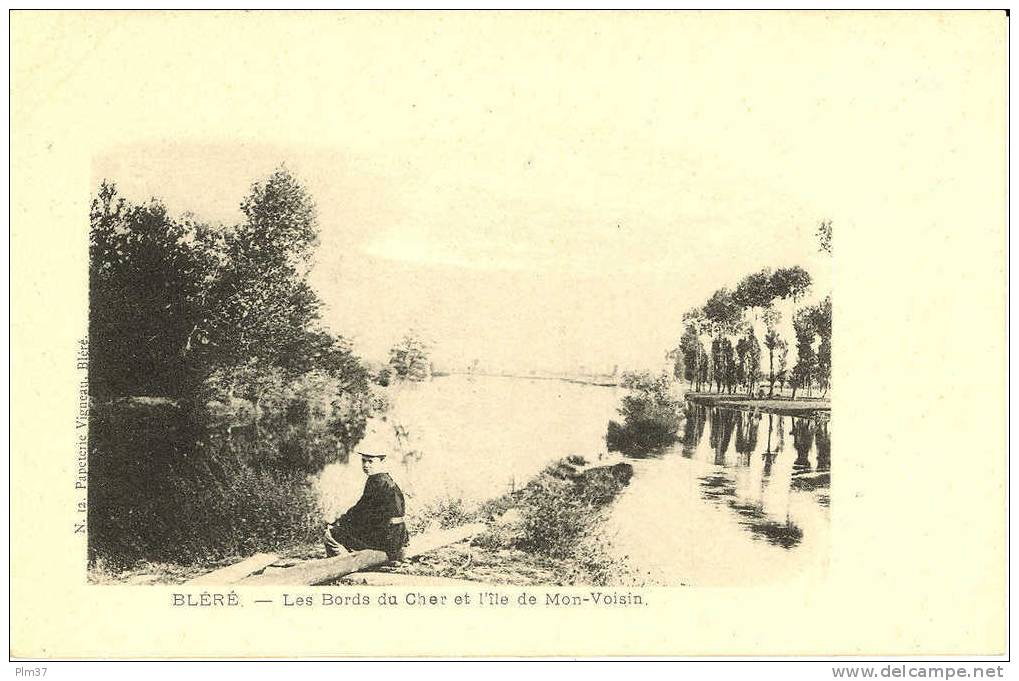 BLERE  - Les Bords Du Cher Et L'Ile De Mon-Voisin  - Non Circulé - Bléré