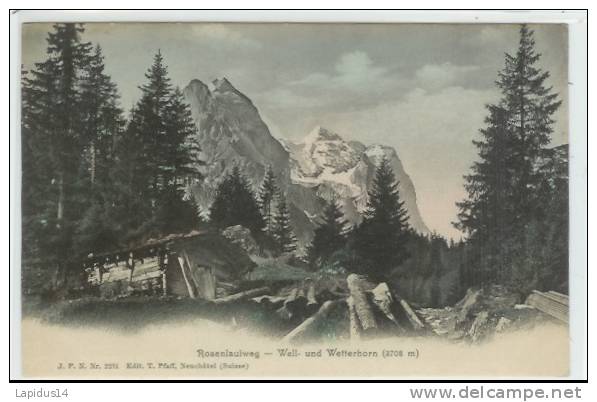 J 210 CPA    SUISSE   ROSENLAUIWEG  WELL UND WETTERHORN - Horn