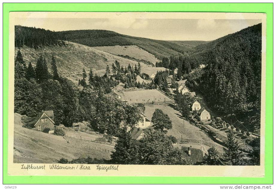 LUFTKURORT, ALLEMAGNE -  WILDEMANN / HARZ SPIEGELTAL - CIRCULÉ EN 1951 - KUNSTVERLAG R. LEDERBOGEN - - Wildemann