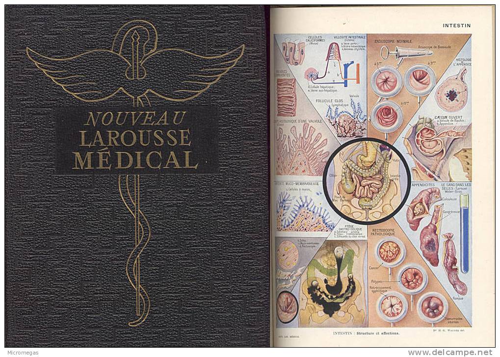 Nouveau Larousse Médical Illustré - Diccionarios