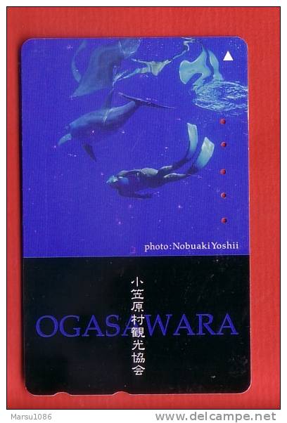 Japan Japon  Telefonkarte Télécarte Phonecard Telefoonkaart  -  Delfin Dauphin Dolphin  Delphin - Delfines