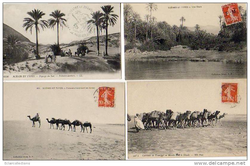 ALGERIE  Scène Et Type..Ensemble De 8 Cartes..Vues Diverses - Sonstige & Ohne Zuordnung