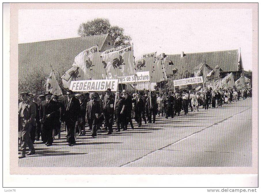 Carte N° 175  De La Série " LE SOIR"  - BELGIQUE -   Manifestation Du Mouvement Populaire Wallon En  1962 - Parteien & Wahlen