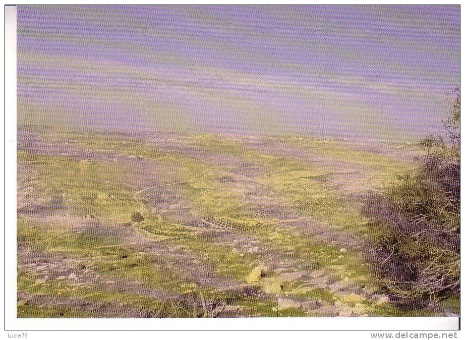 Le Monde De La BIBLE  - La Vallée Du JOURDAIN, Côté  Jordanie - Jordanien