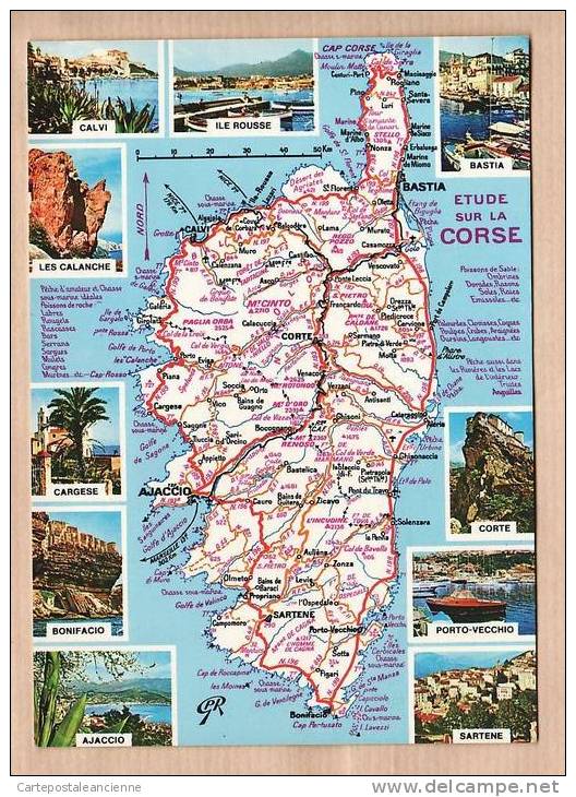 20 ETUDE ILE CORSE CARTE GEOGRAPHIQUE 1970s ¤ YVON N° 83 ¤ CORSE CORSICA ¤ 8160A - Corse