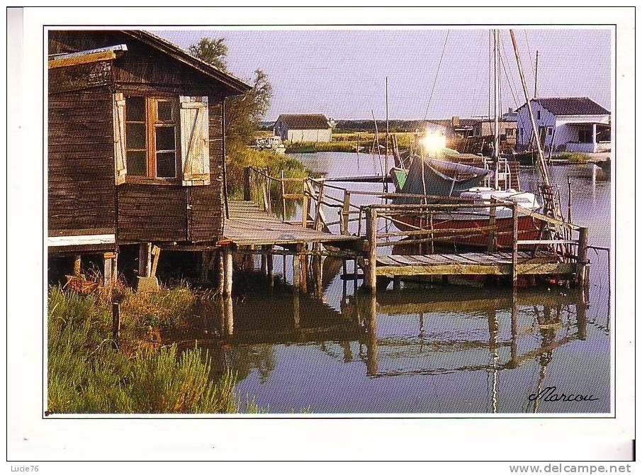 Images De La Mer -  Cabanes De Pêche  - - Poitou-Charentes