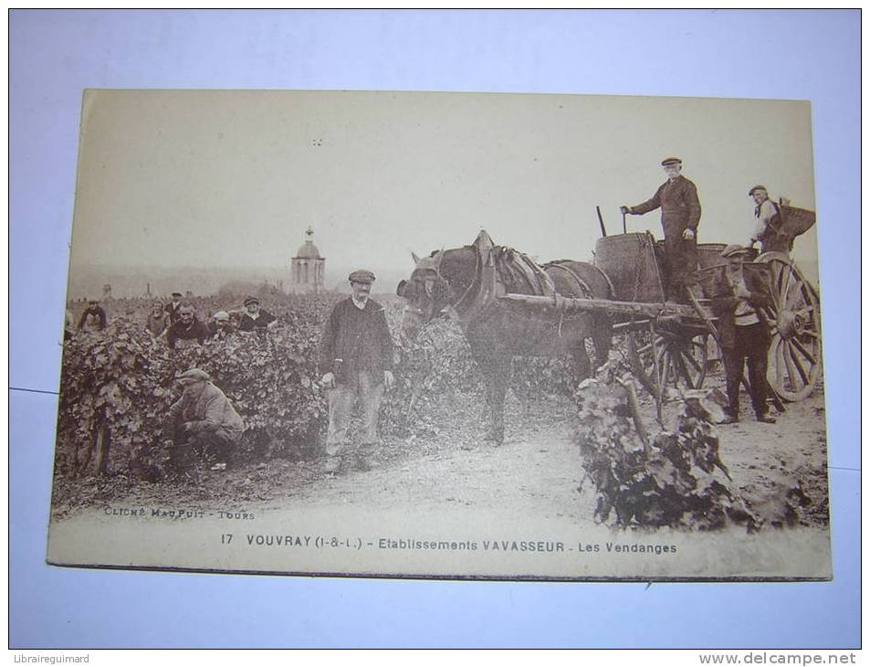 1qd - CPA N°17 - VOUVRAY - ETABLISSEMENTS VAVASSEUR - LES VENDANGES (37 - INDRE ET LOIRE), - Vouvray