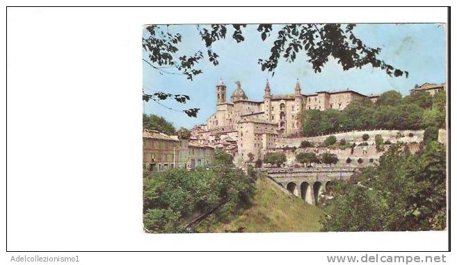 17343)cartolina Illustratoria  Urbino -  Panorama - Urbino