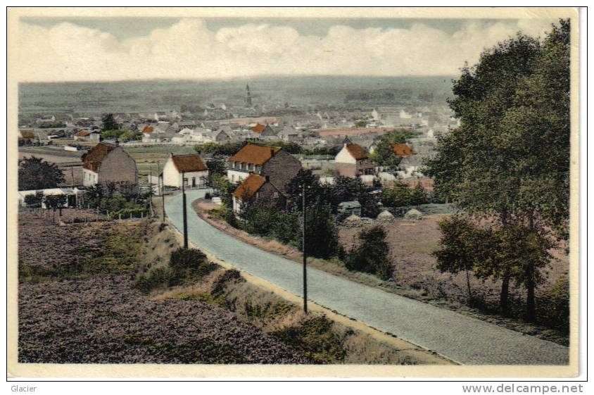 RUIEN - Panorama Vu Du Mont-de-l'Enclus  -  Algemeen Zicht Vanaf De Kluisberg - Ronse