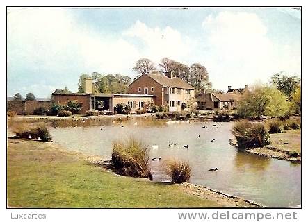 THE WILDFOWL TRUST. SLIMBRIDGE. GLOUCESTERSHIRE.  A VIEW OF THE RUSHY PEN. - Autres & Non Classés