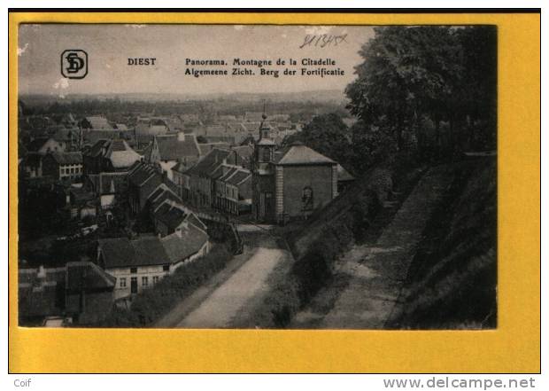 137 Op Kaart " DIEST / Panorama" Met Dubbelringstempel Van 1919 Van EEKEREN 1 Als Aankomst !!! (noodstempel) - Foruna (1919)