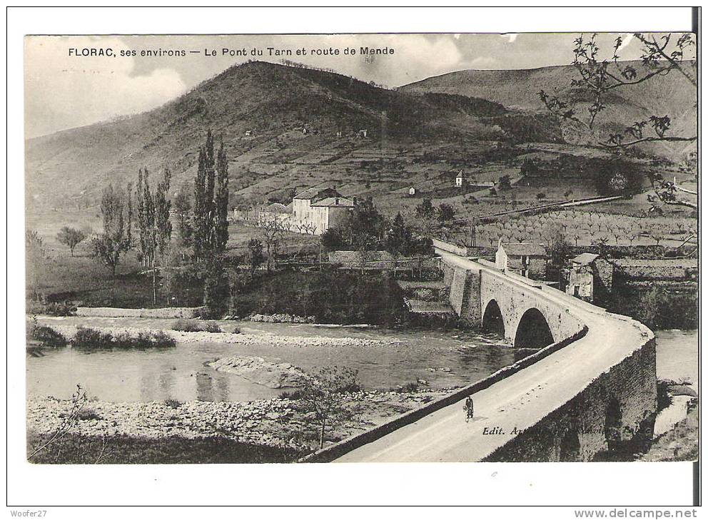 CPA   FLORAC Ses Environs ,le Pont Du Tarn Et Route De Mende - Florac