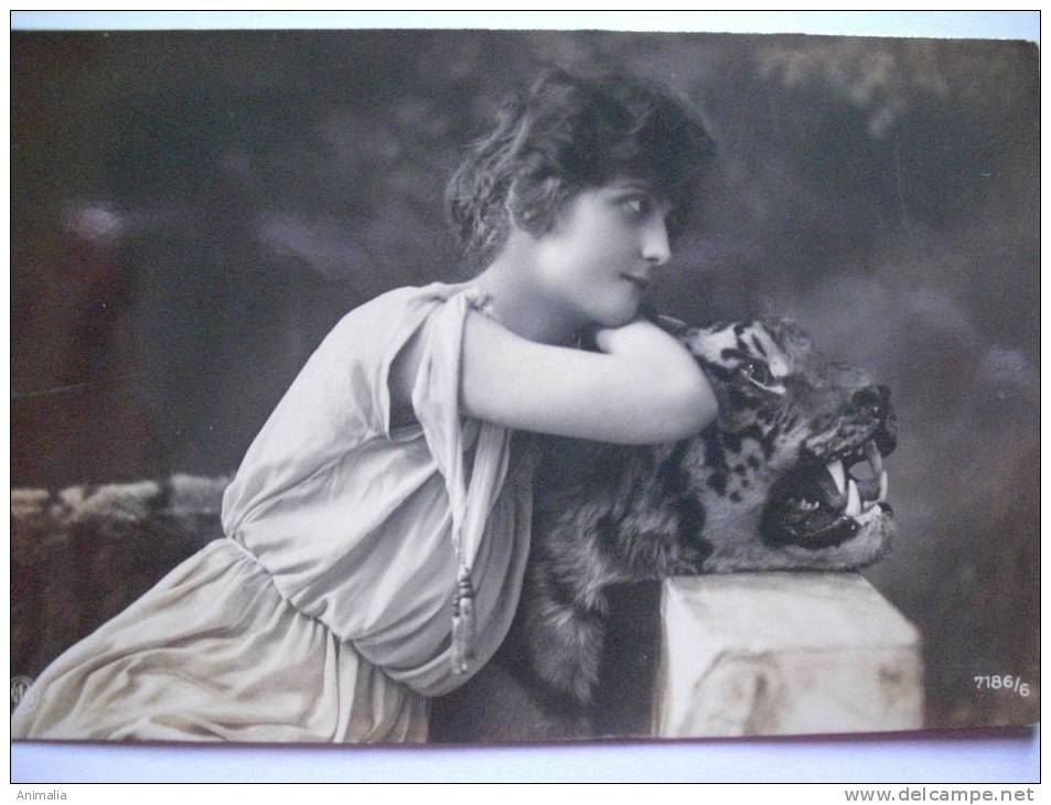 Tres Belle Carte Photo Femme Avec Tigre Empaillé Taxidermie Tiger Real Photo - Tigres