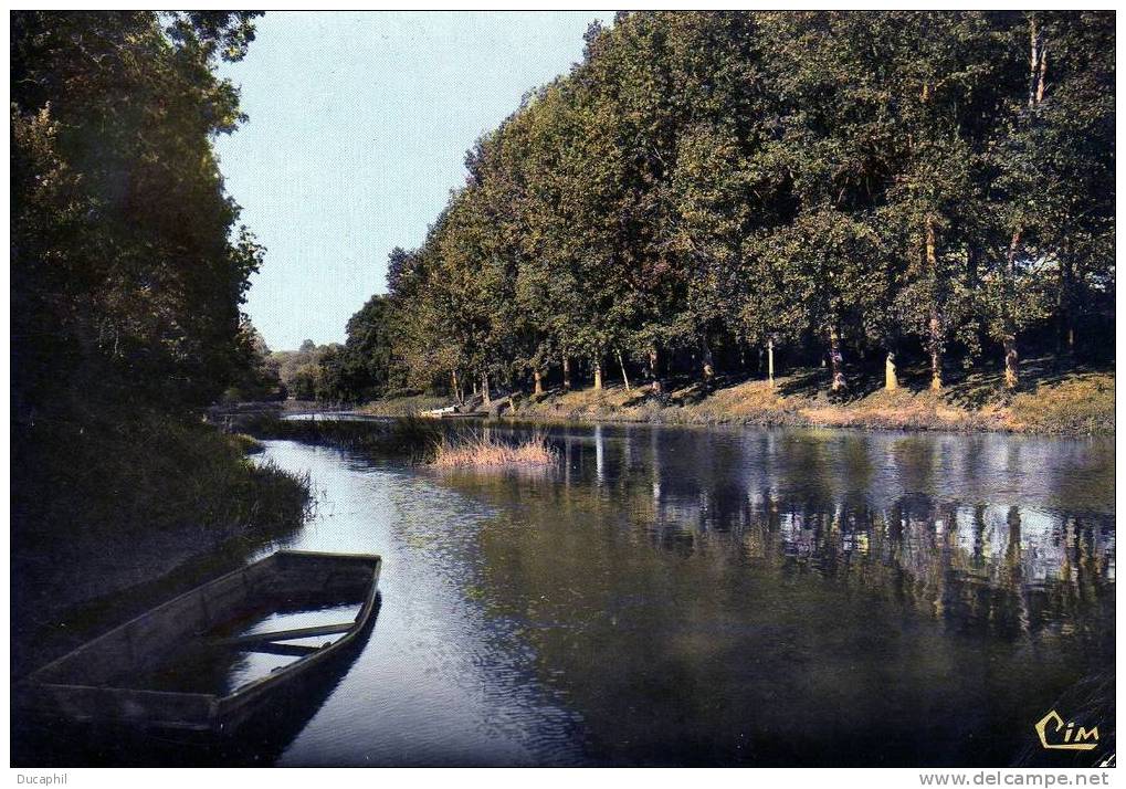 MAREUIL SUR LAY LE BAS LAY - Mareuil Sur Lay Dissais