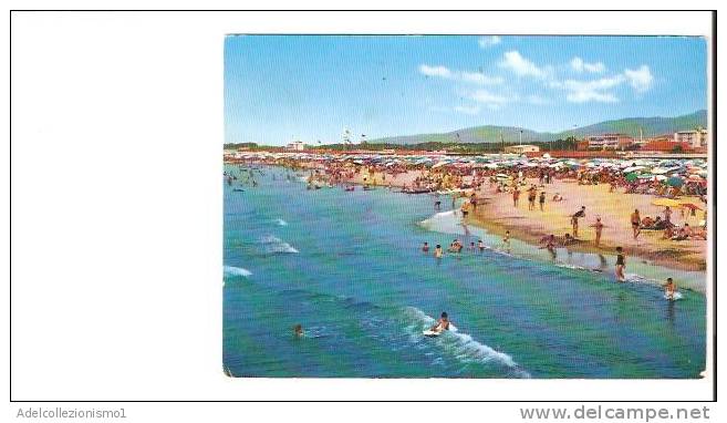 17588)cartolina Illustratoria  Marina Di Massa - La Spiaggia - Massa