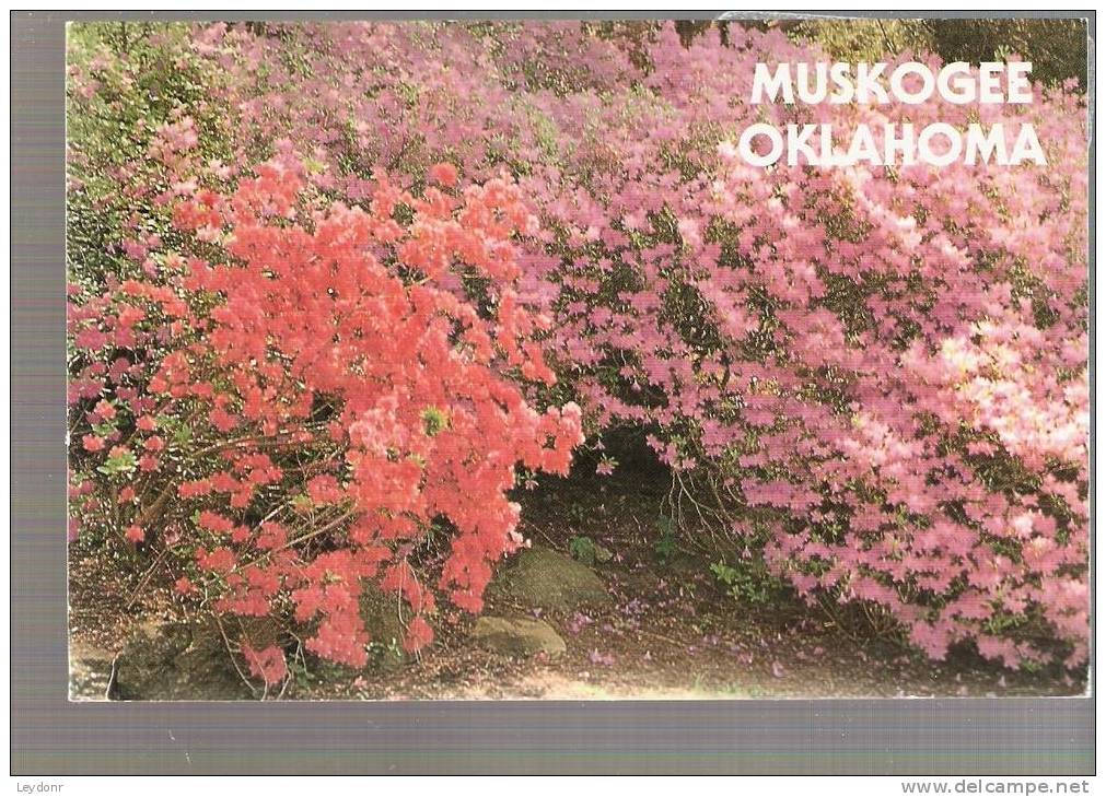 Muskogee - Azalea Gardens - Oklahoma - Muskogee